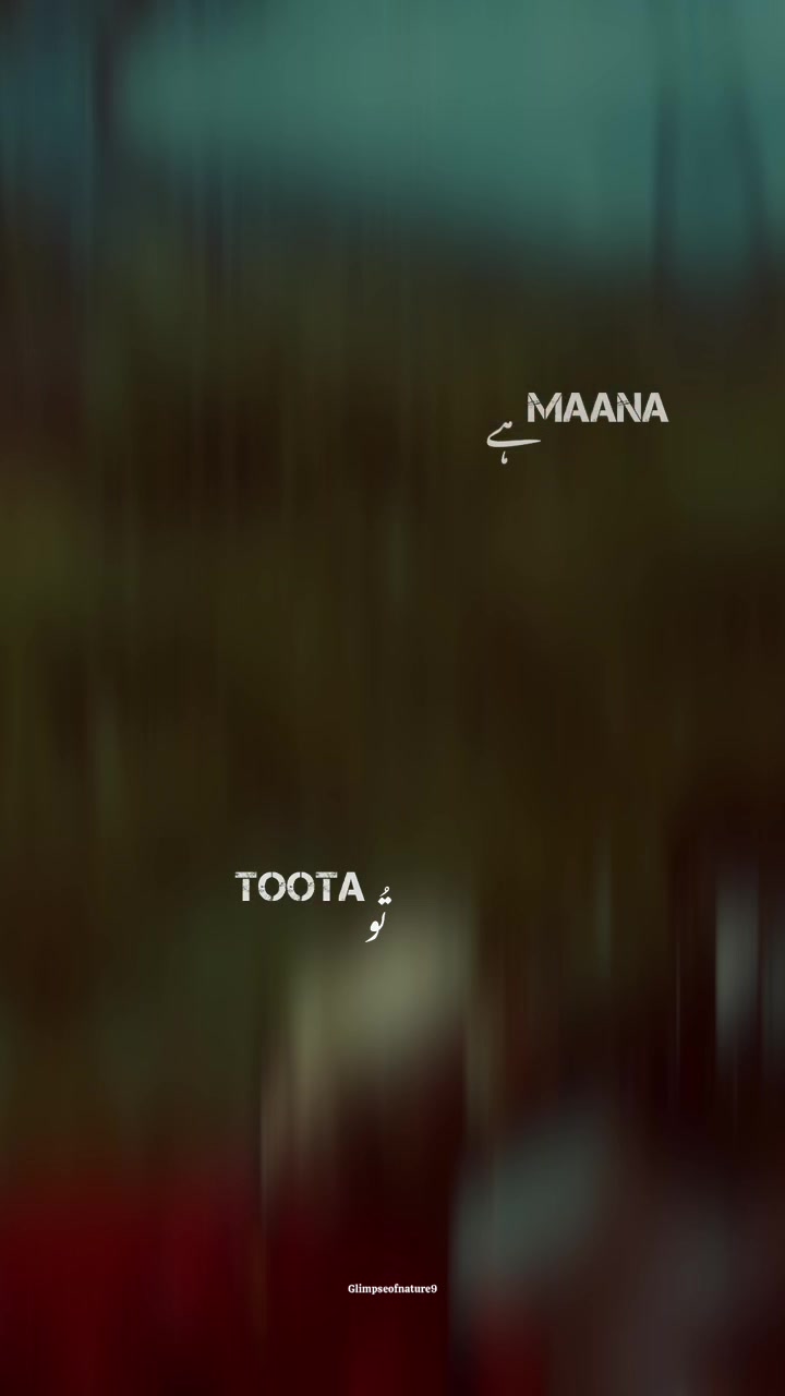 @Amna Mir❥