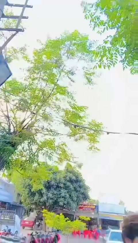 @sarkar 786🤟♥️🤟