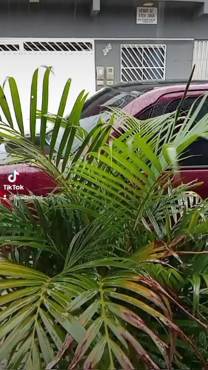 @Potiraguá Bahía e região