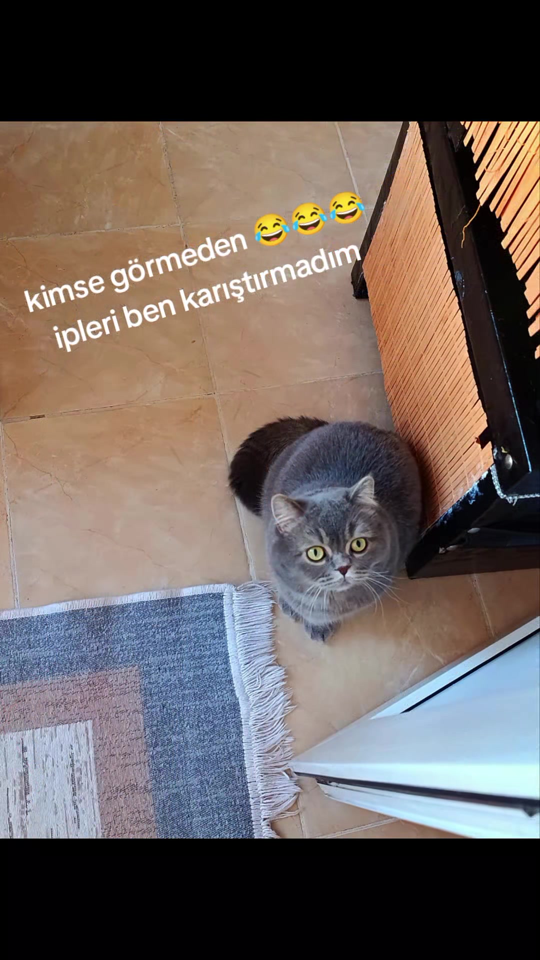 @evimizinbirtanesi