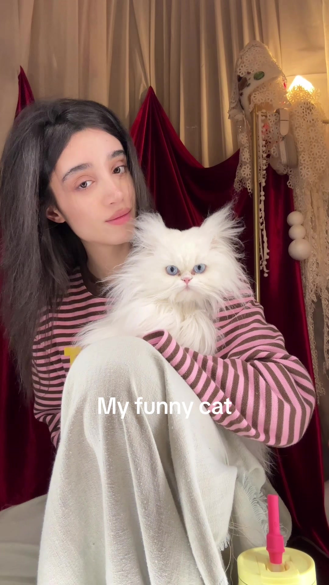 @Saana Mirzaie
