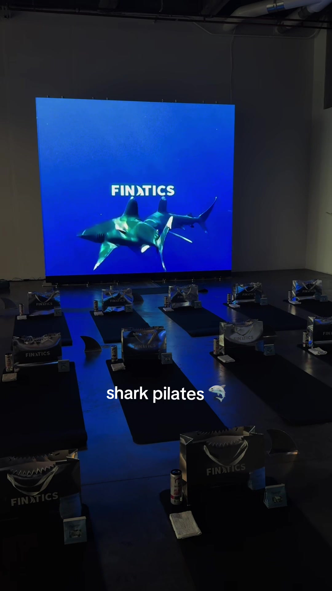 @FINATICS 🦈