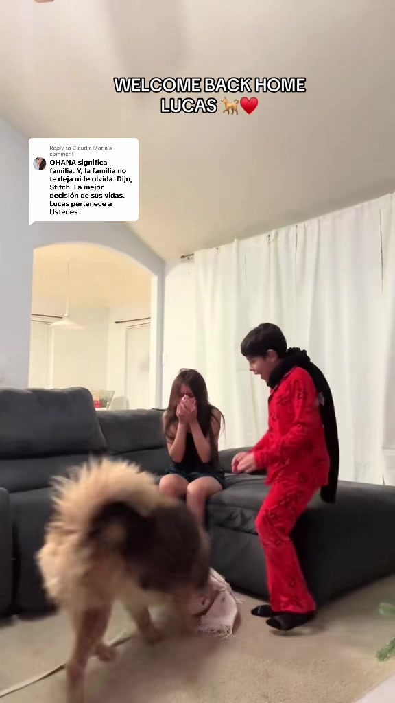 @Yeesfert