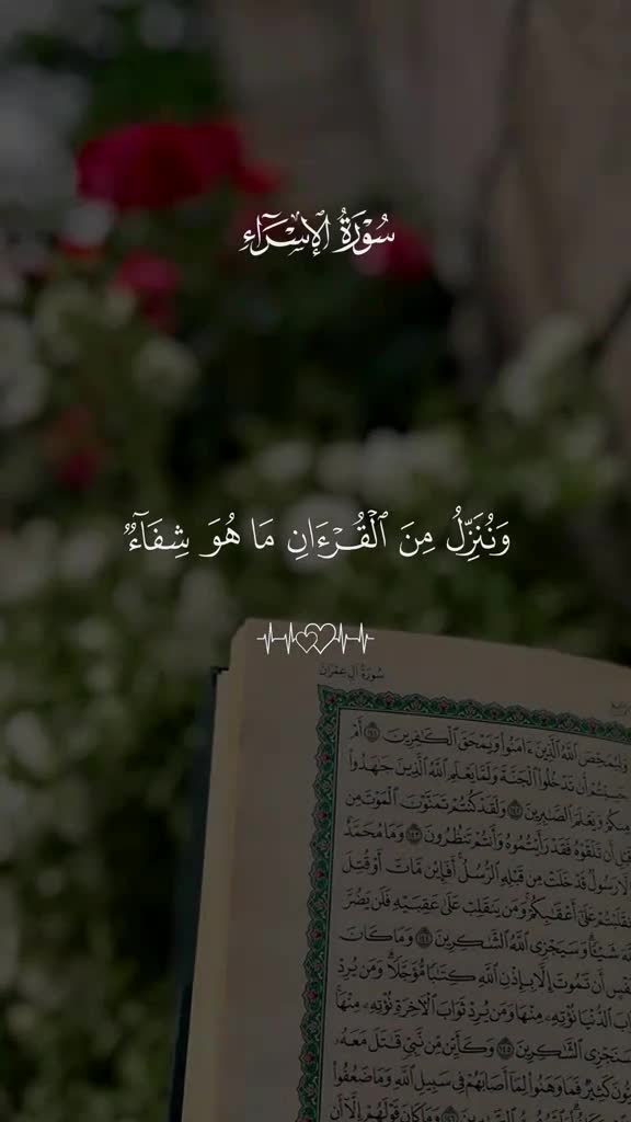 @احمد الحلاوي الحلاوي