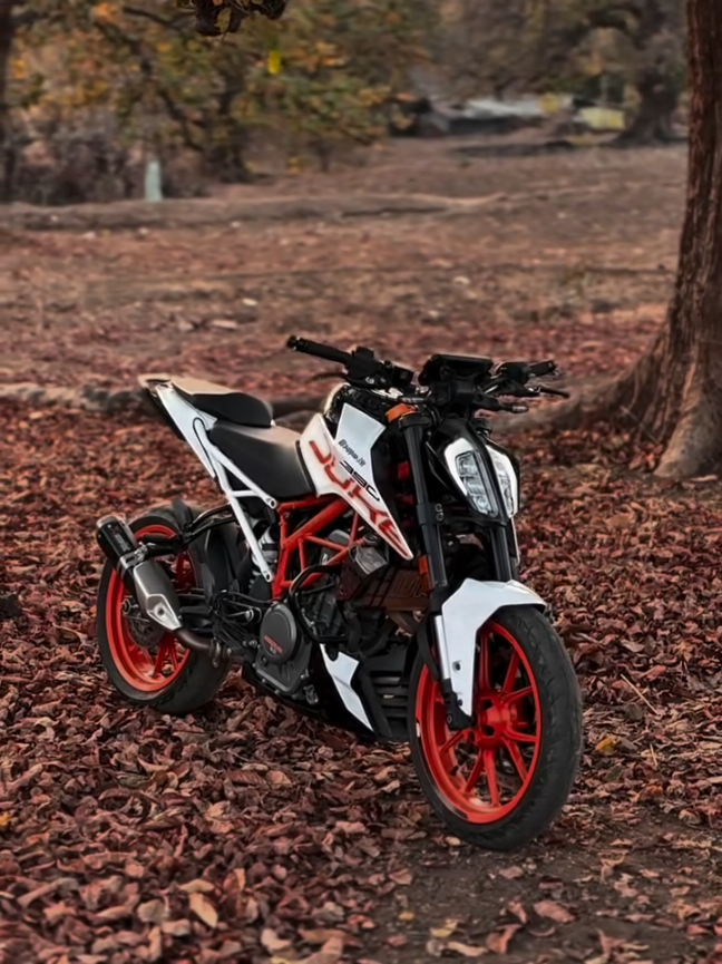 @Ziddi_Rider6919_'