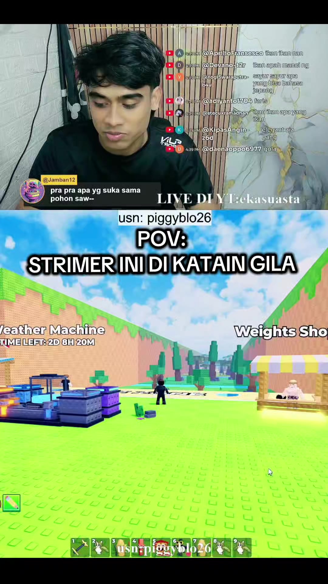 @piggyblo26