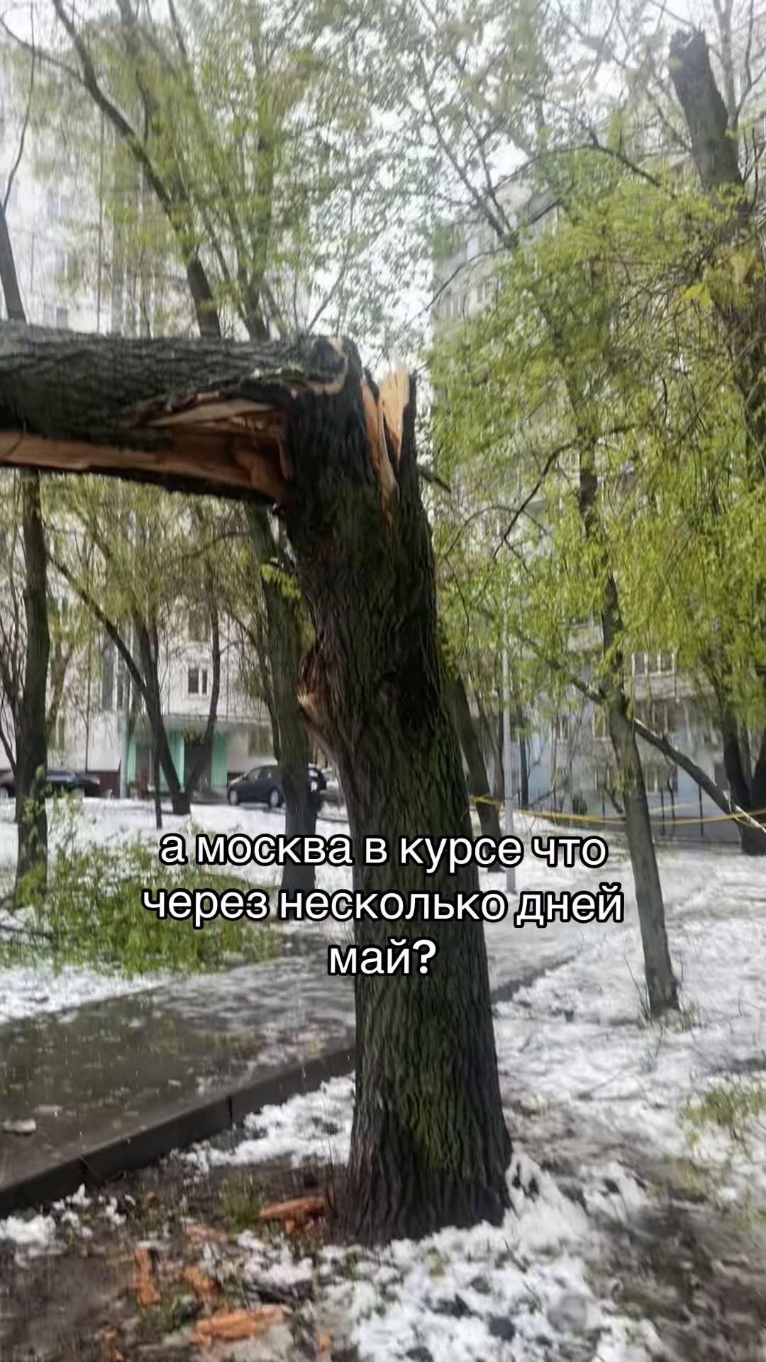 @хасайя азерцай