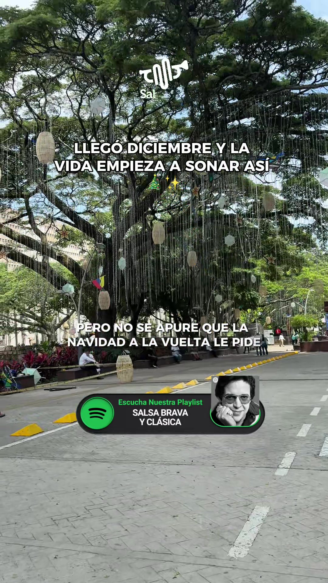 @SalsoneoTV