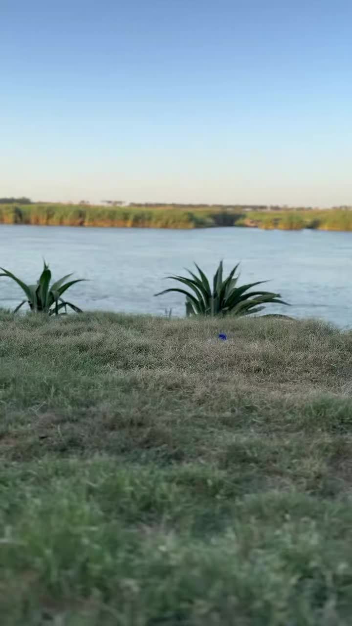 @مصطفى الجبوري