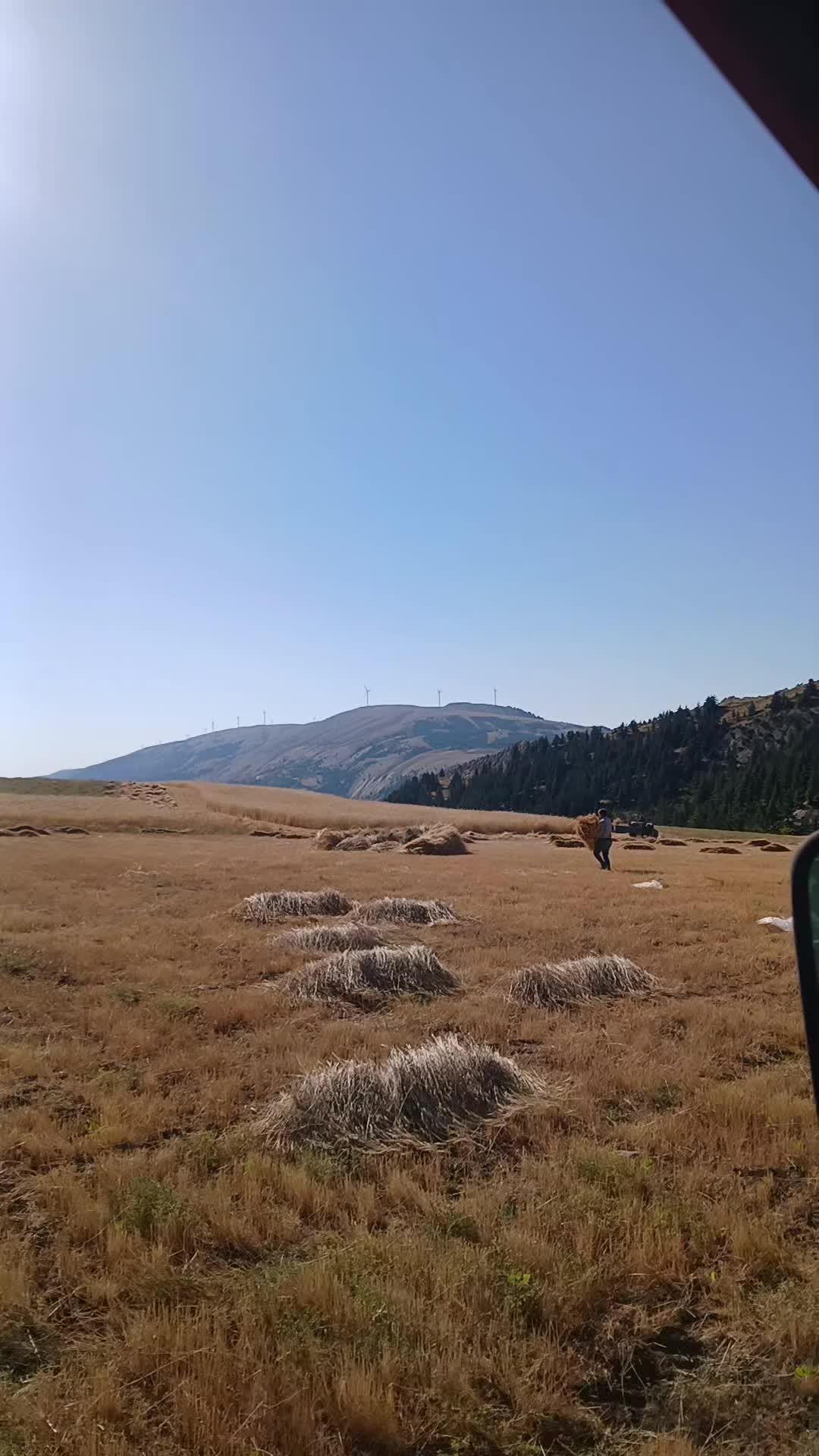 @&Uuml;mit g&ouml;kburun