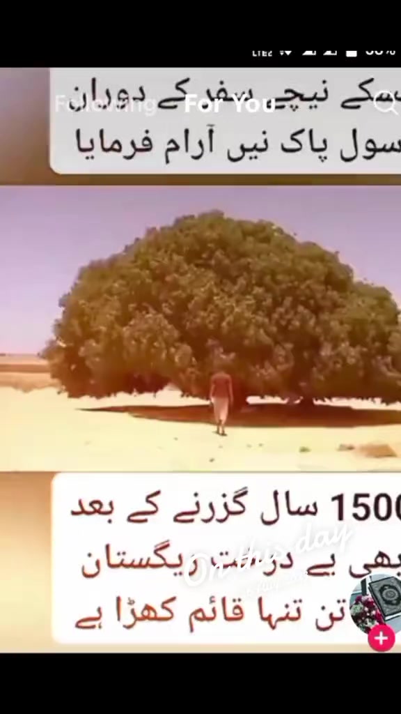 @Allah is Tha best