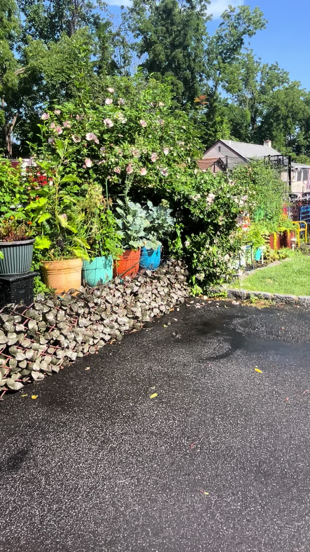 @jojo&hearts;️autism💚garden💙dogmom