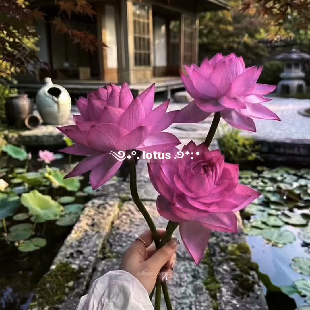 @chaaspeax