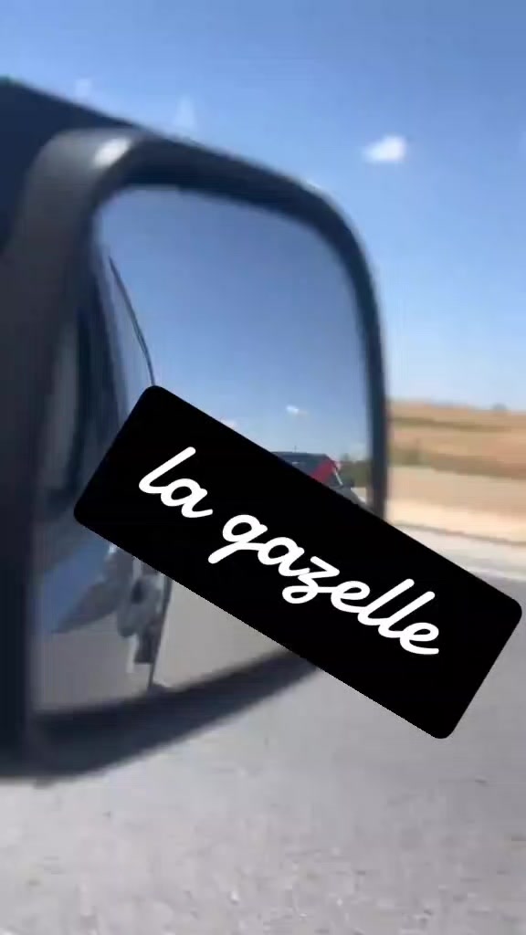 @Gazelle Eleulma