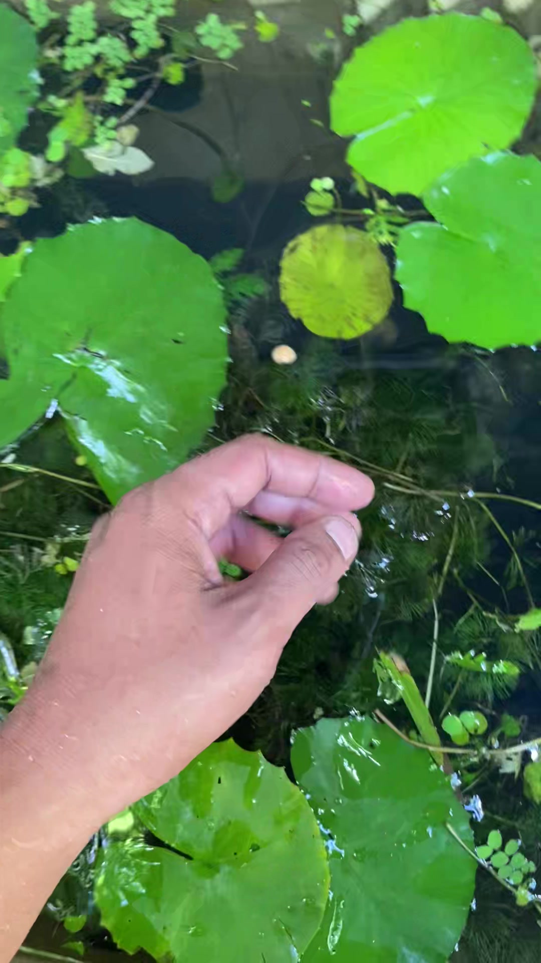 @TAKI AQUATICS