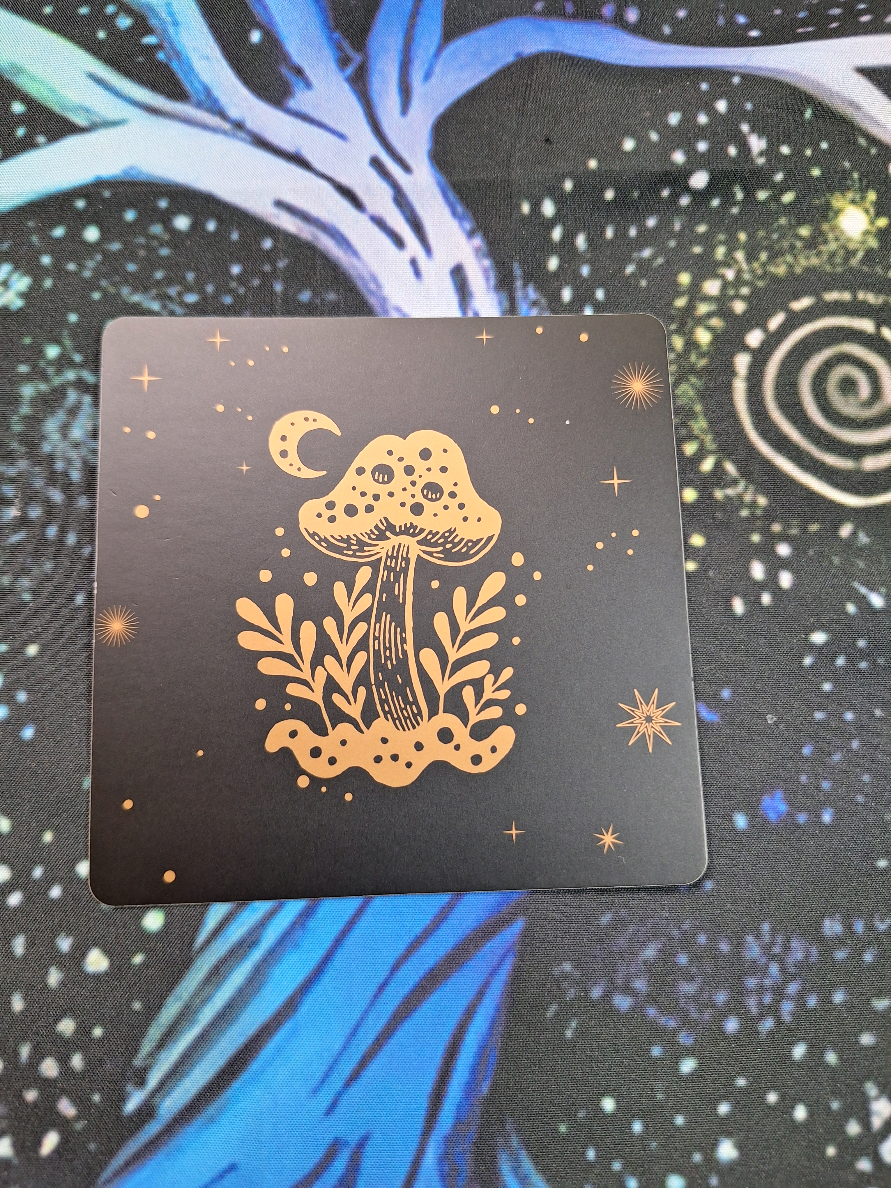 @Stephanie🔮✨️