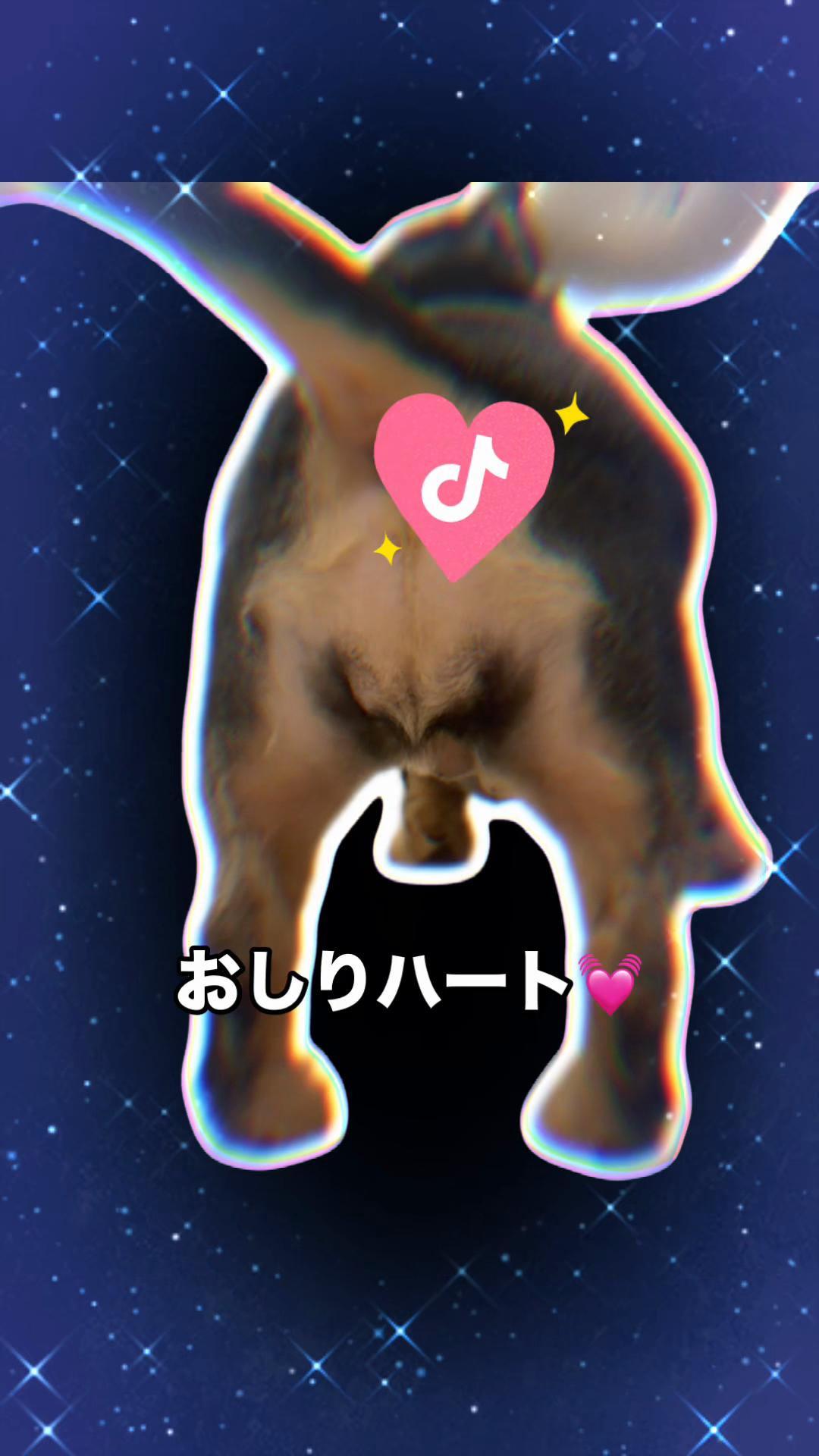 @あすかっきーん🧢💙🐾