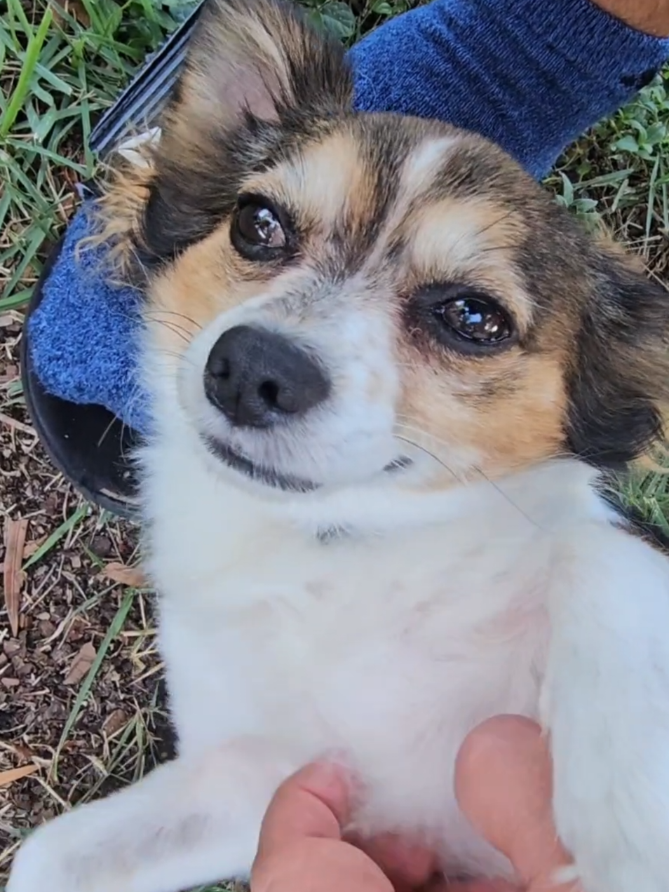 @The Belly Rub Hub