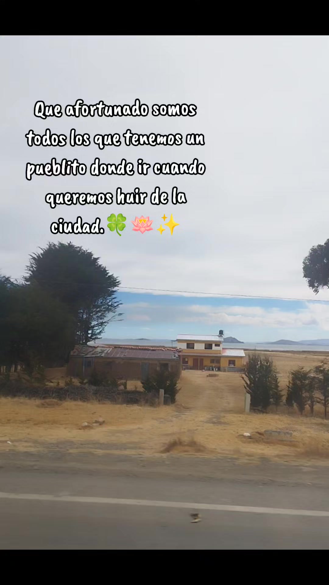 @💫🇲🇽❤️Seynet⚽🦁