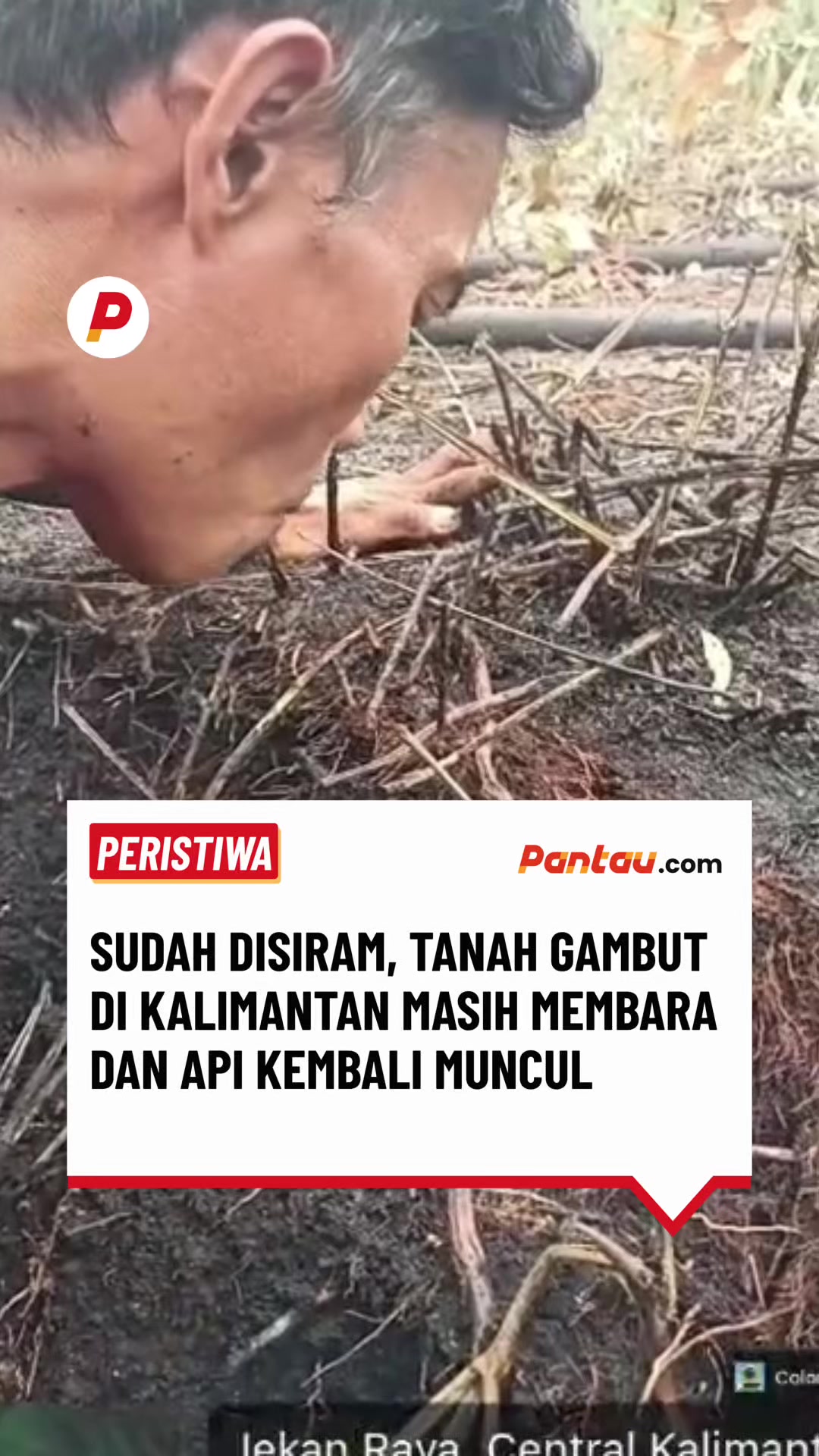 @pantau.com