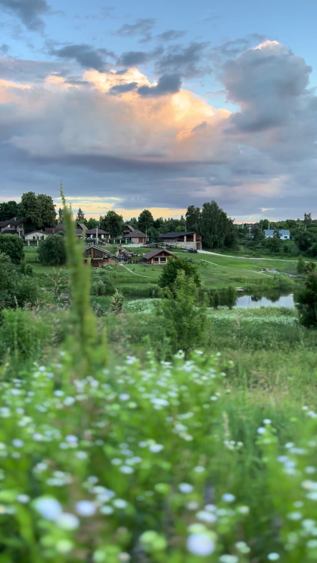 @влюбленные в природу