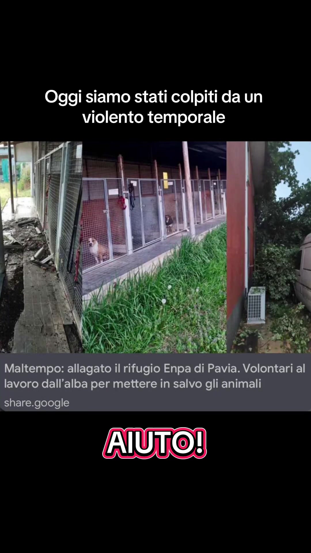 @ENPA Pavia 🍀