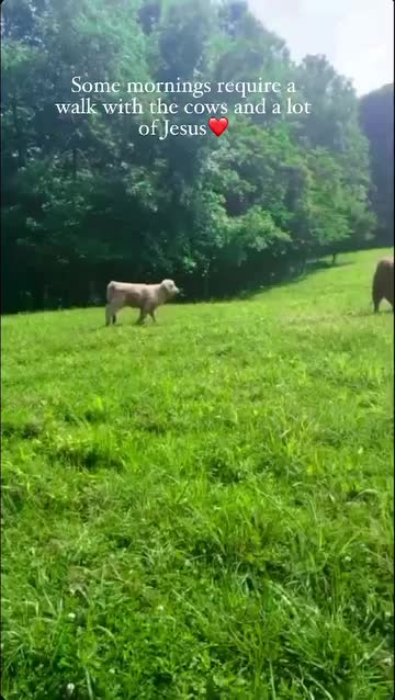 @Gypsy Rose Farm, LLC