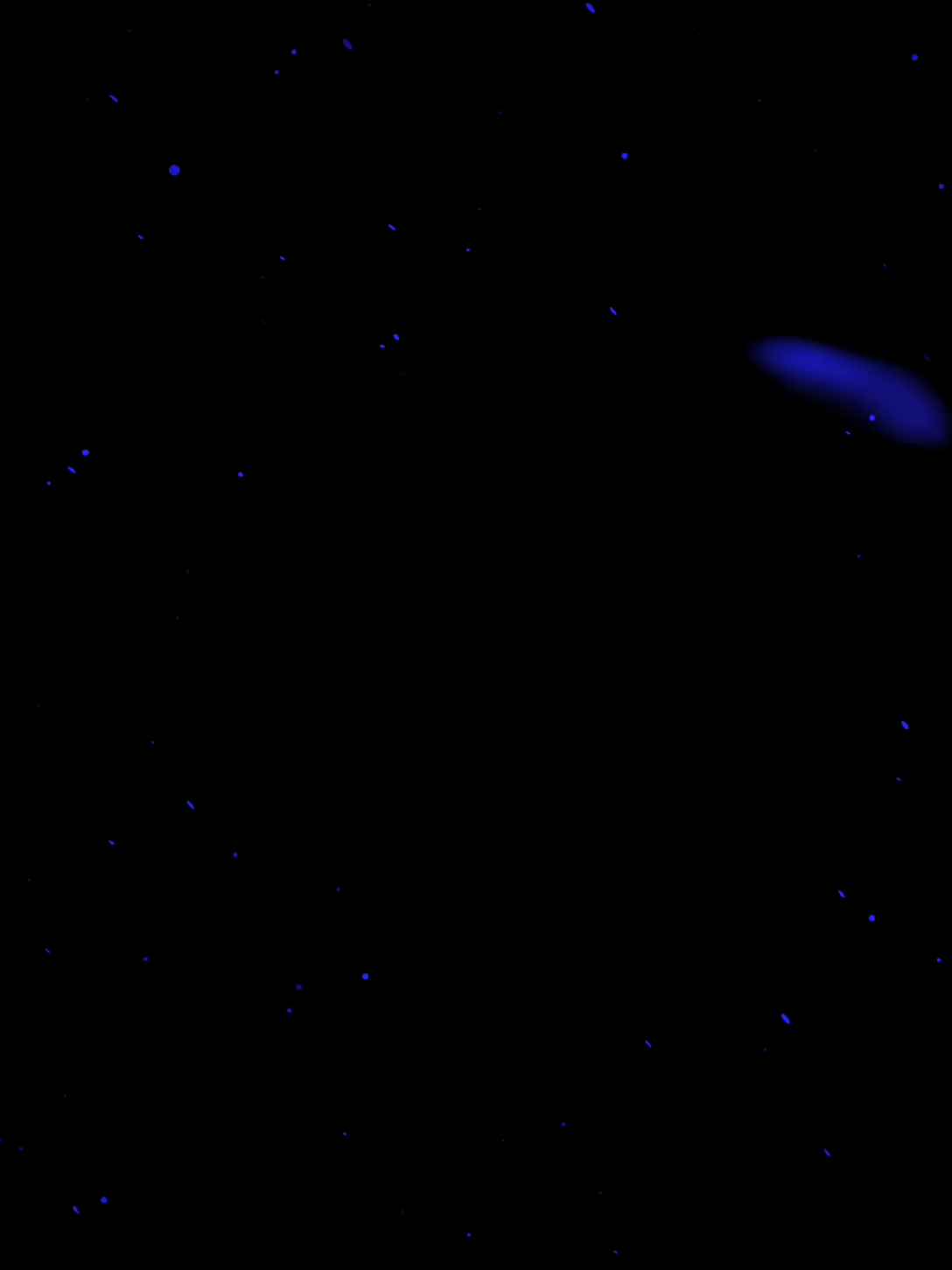 @❥ 𝑮𝒖𝒇𝒇 2𝒌
