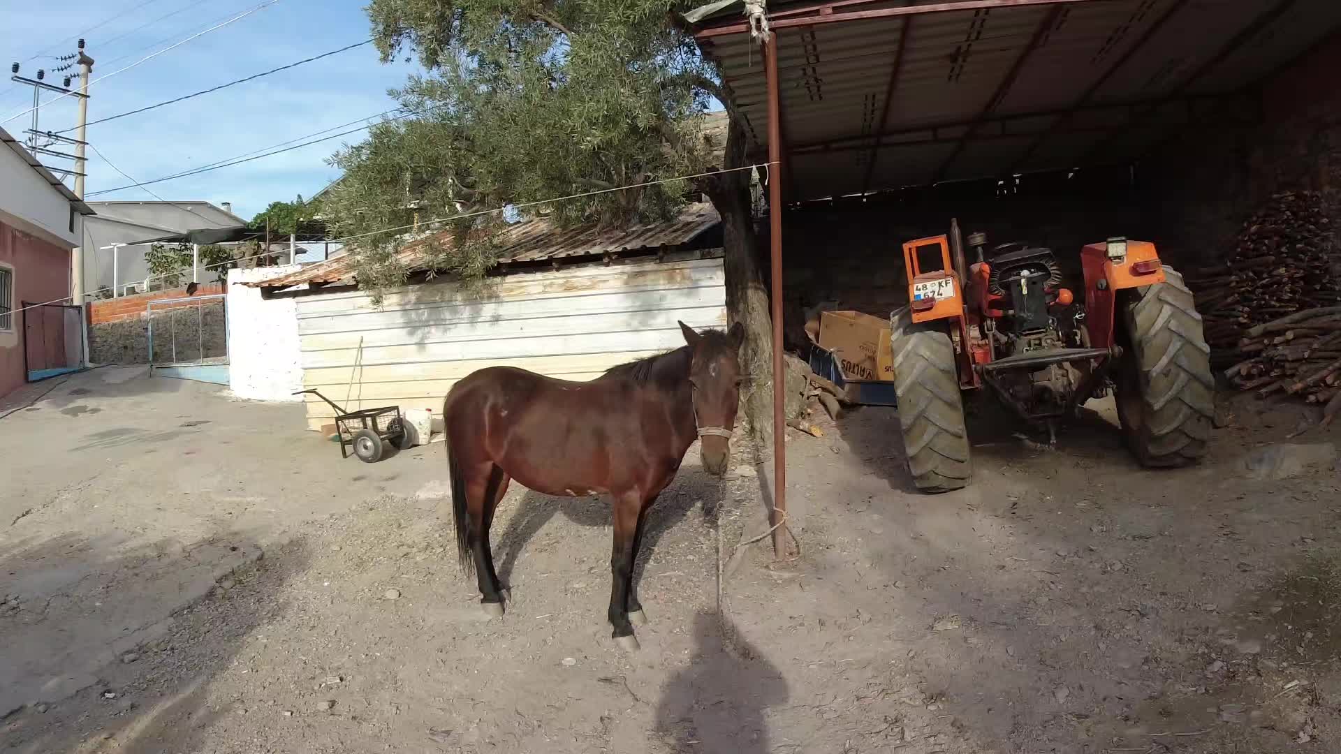 @TC Yanık Emre Yalçın