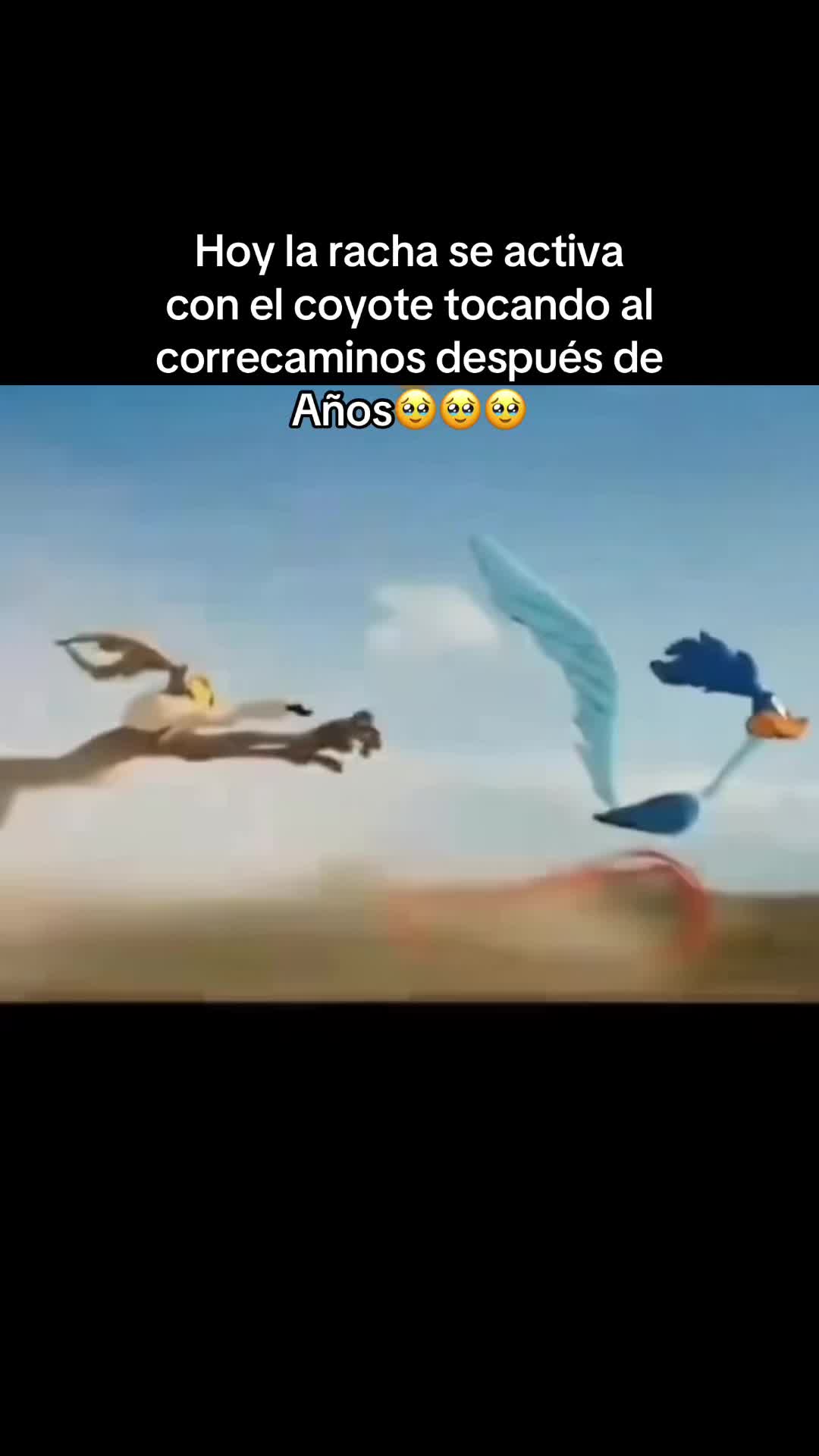 @emilfrases2
