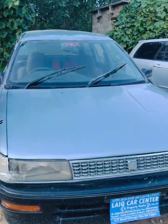 @ncpcarlover1