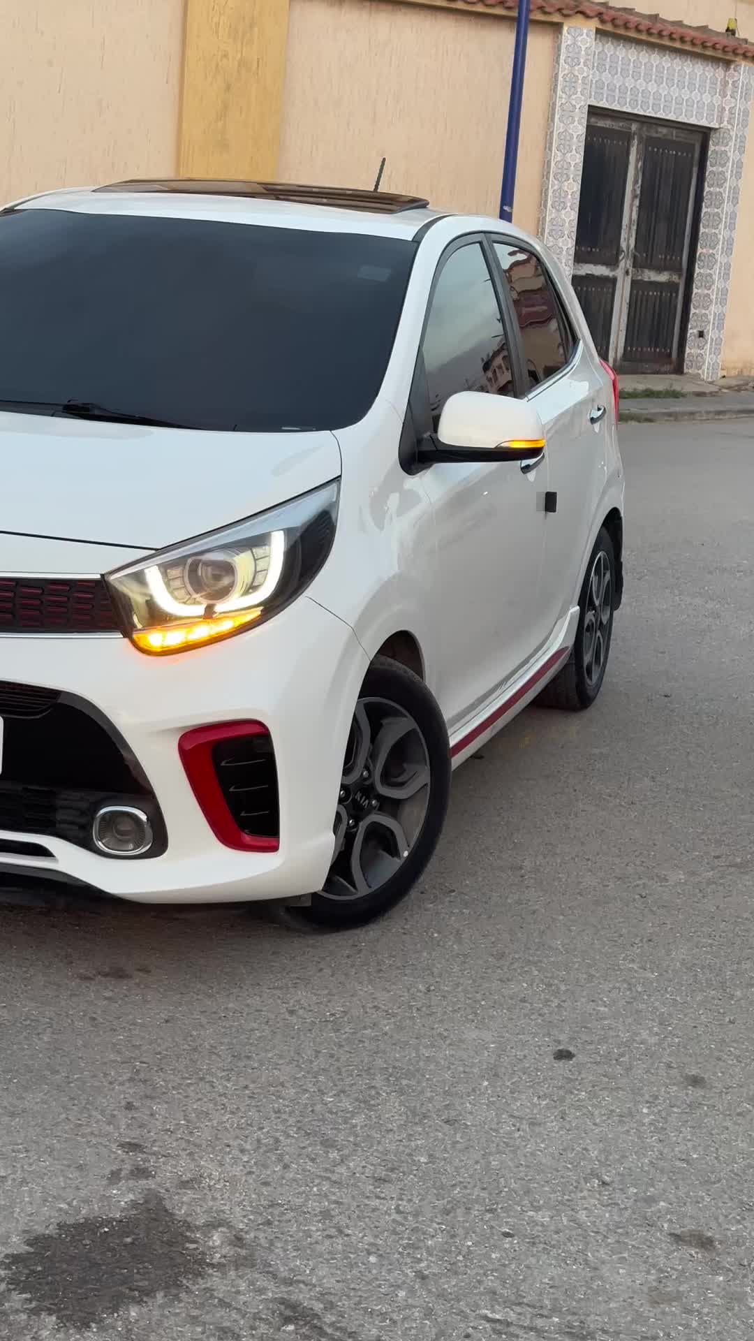 @anis picanto