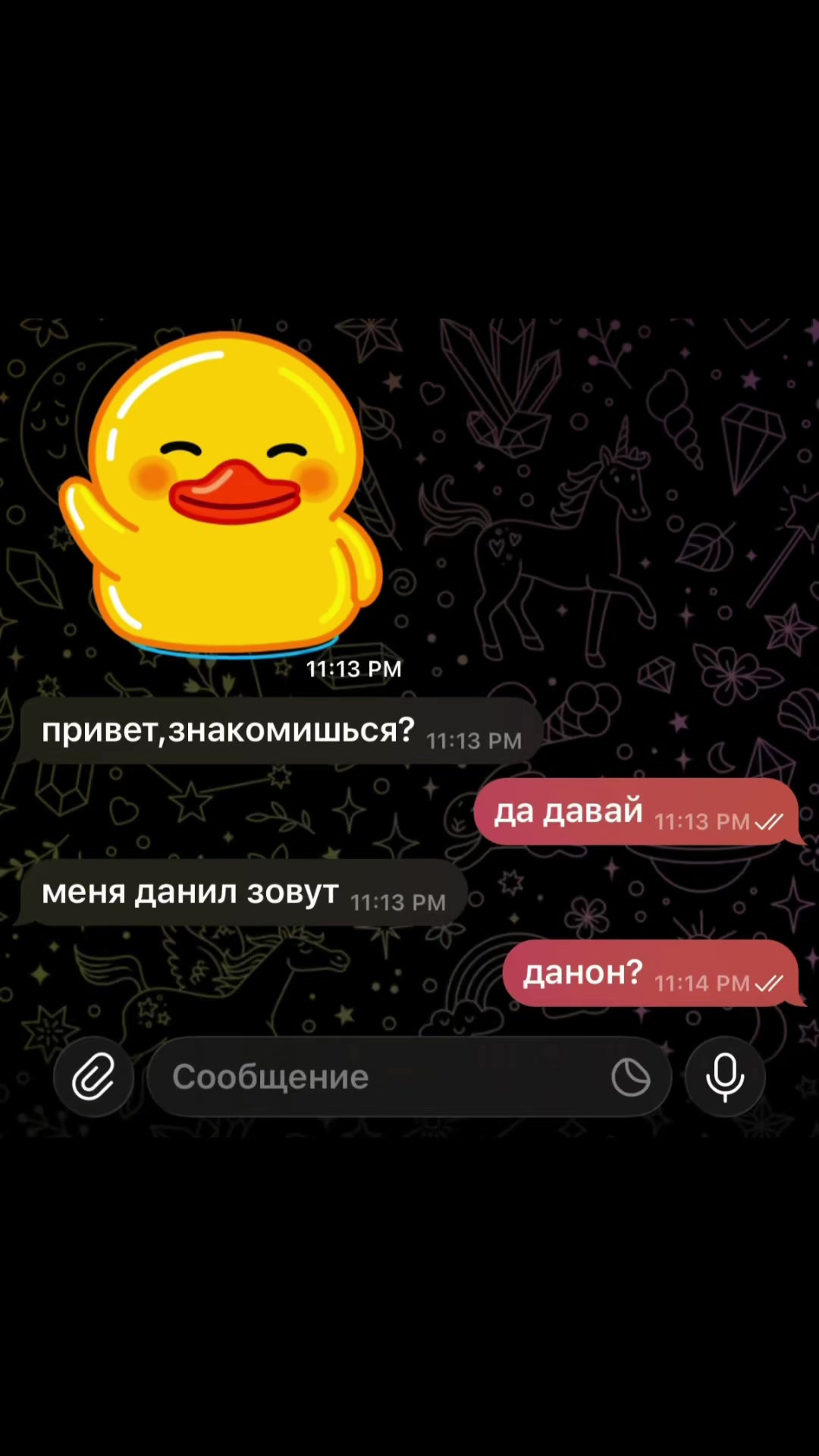 @elvy