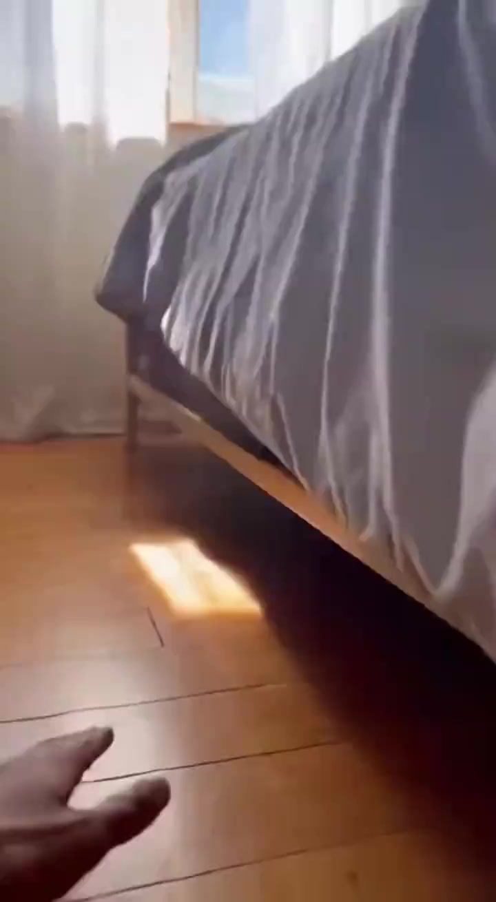 @VinFenny