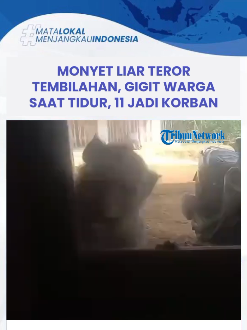 @Tribun Pekanbaru