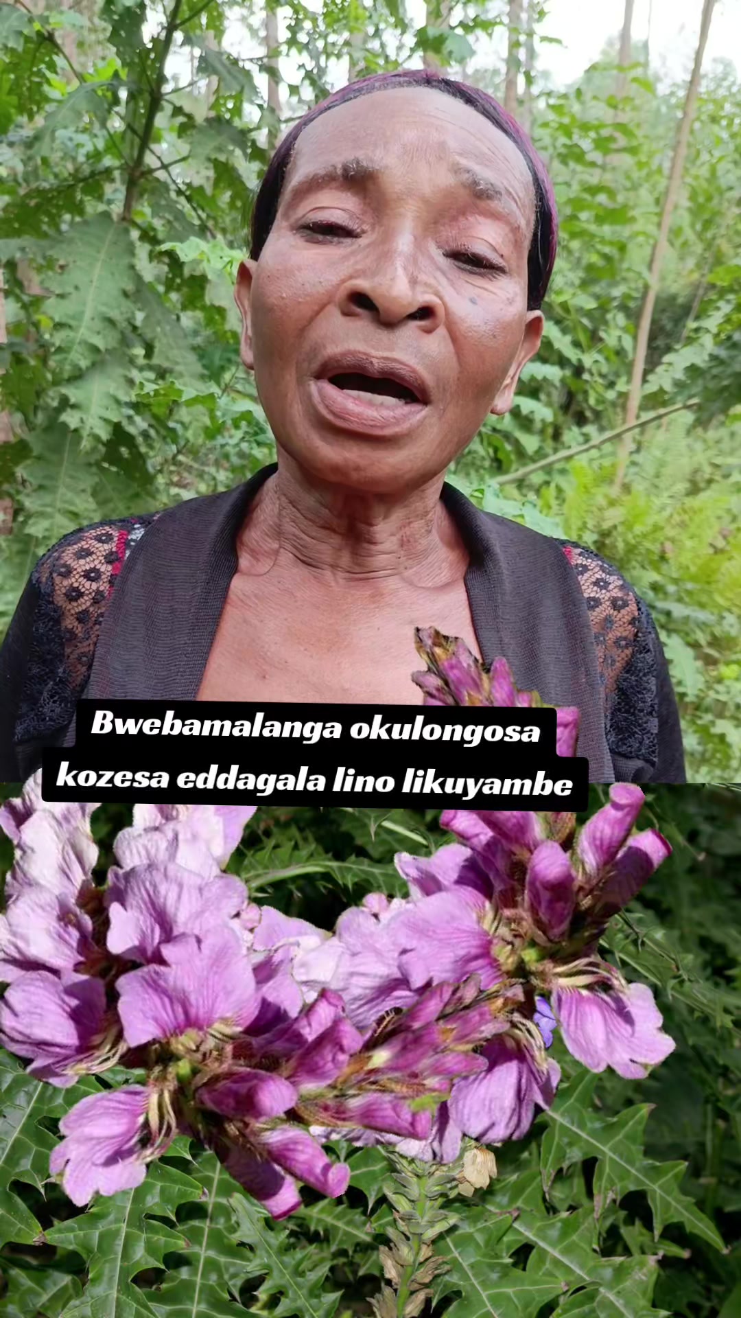 @Nalongo Nalwemanyidde