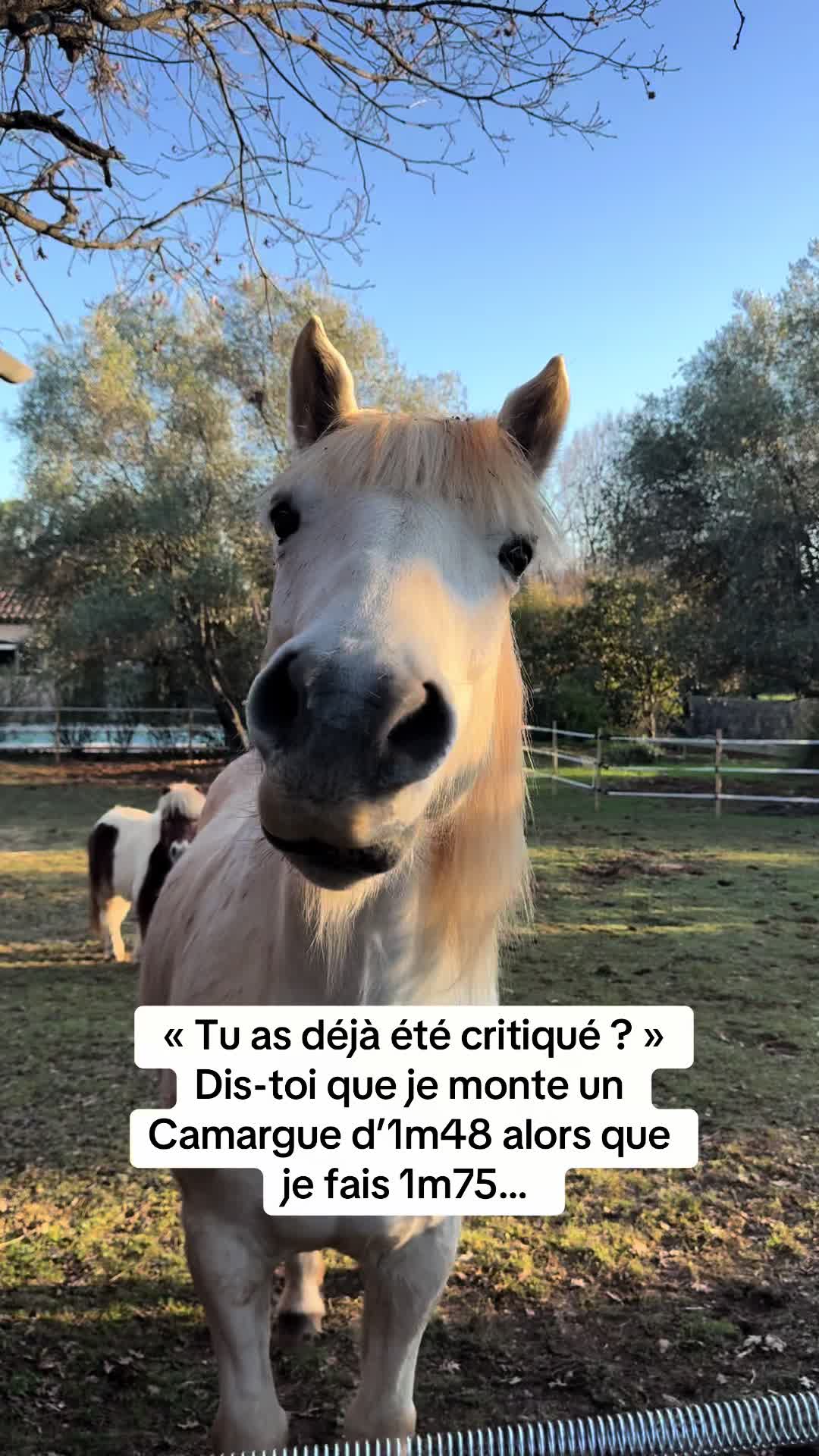 @Salut c’est Marine