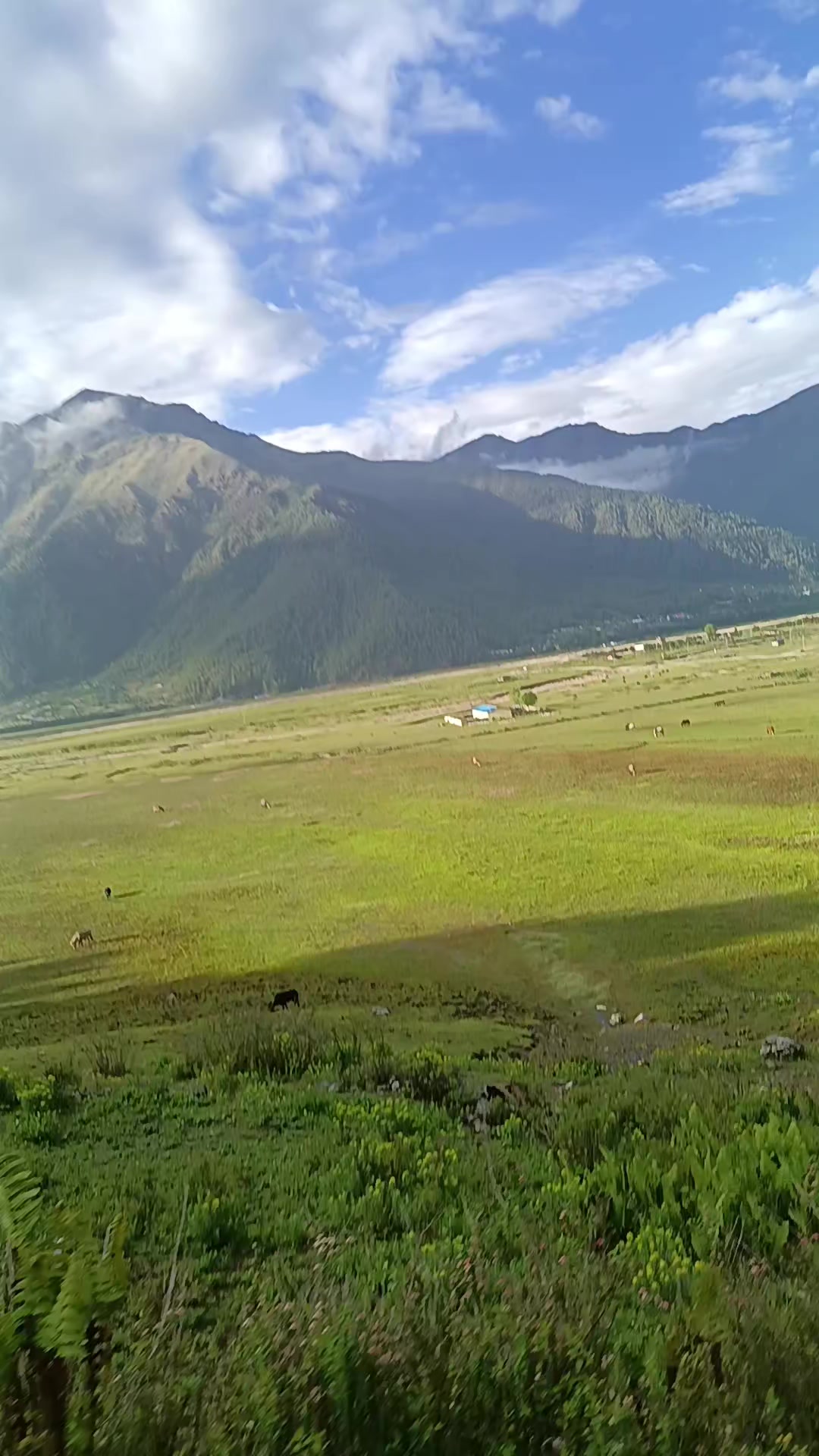 @shanti karki