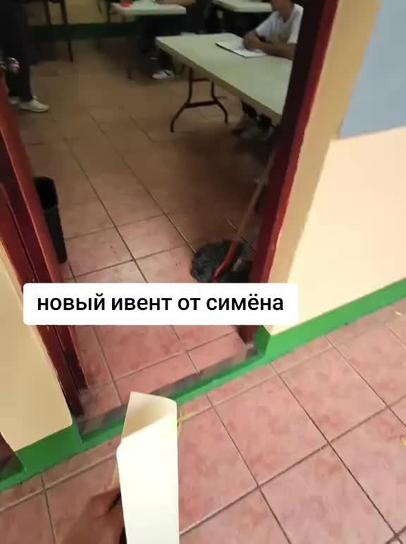 @целлофановая чехарда2.0