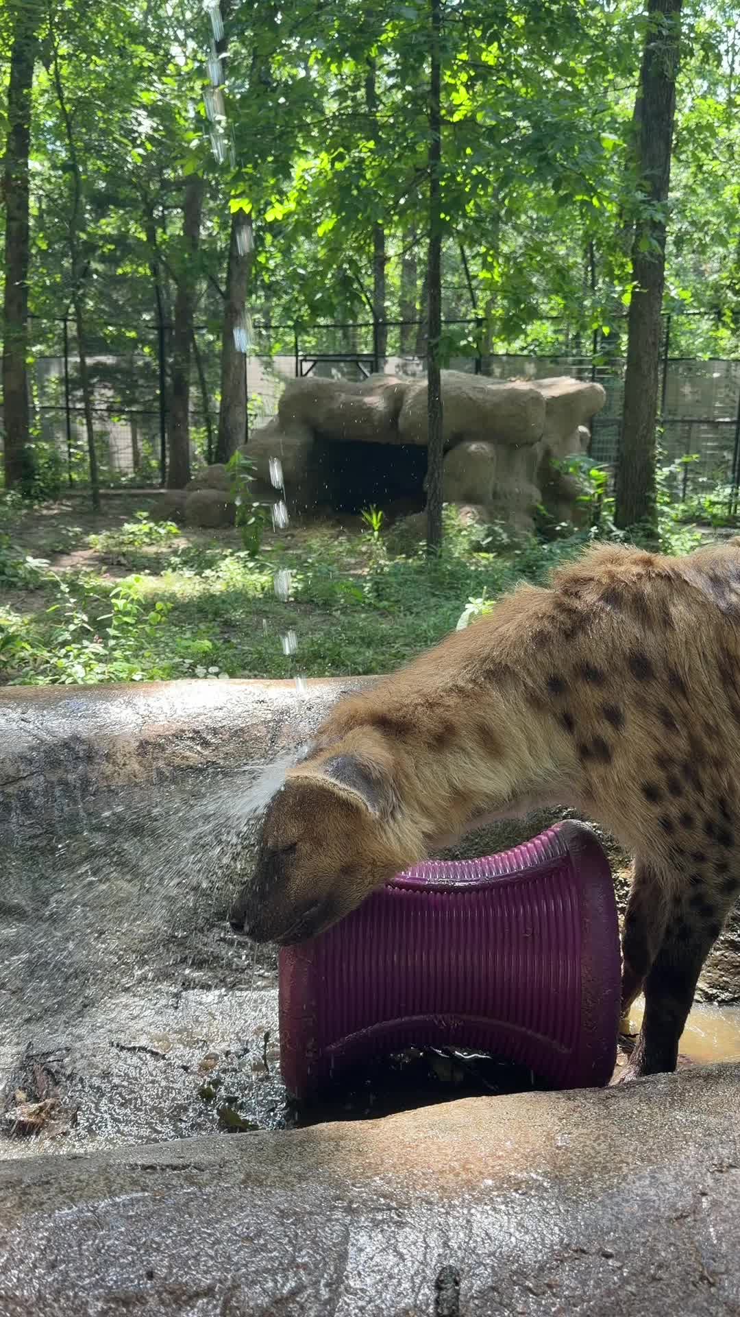 @Liondad87๐ฆ