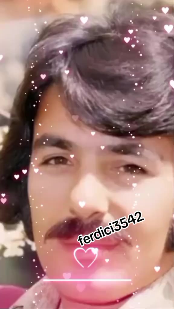 @ferdici3542