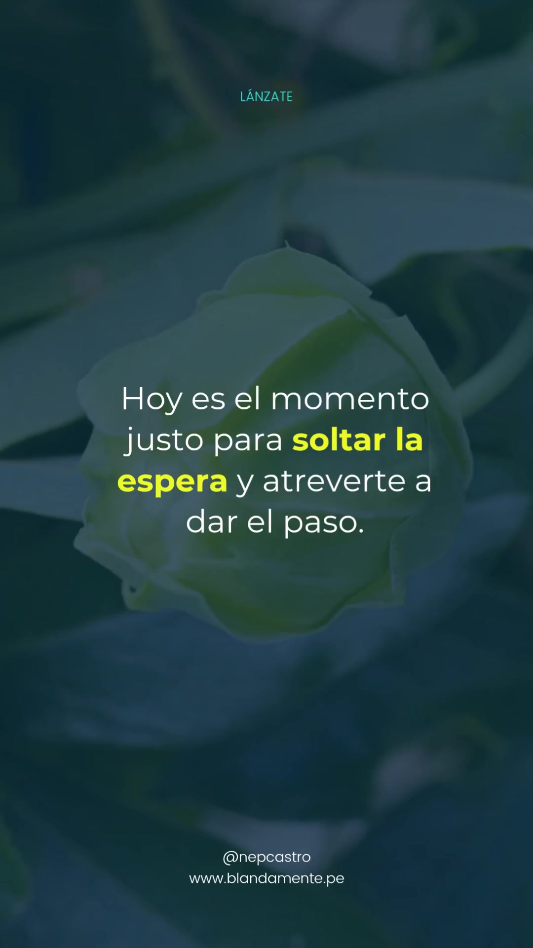 @Neptalí Castro | Liderazgo