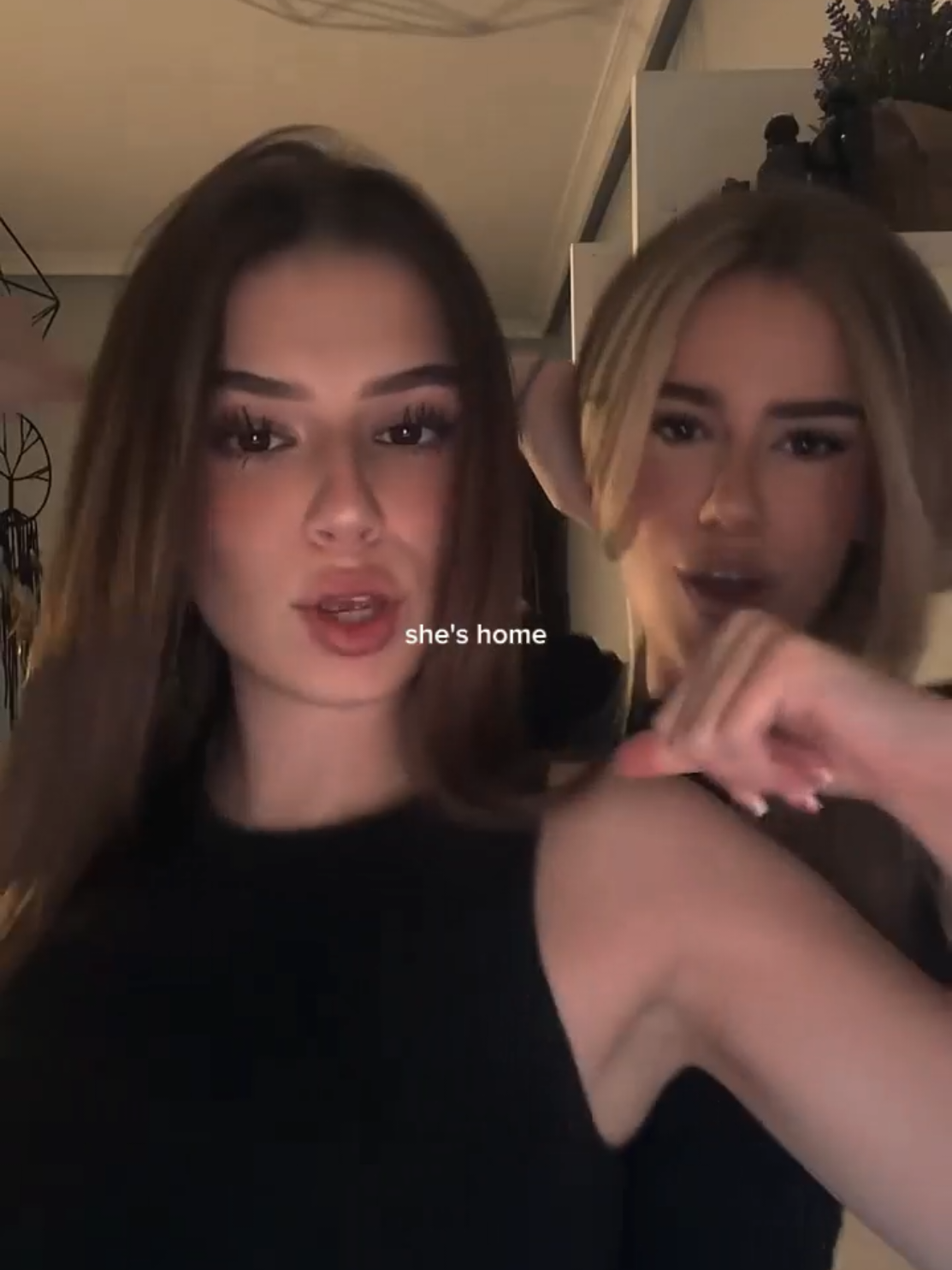 @Template Lulaa
