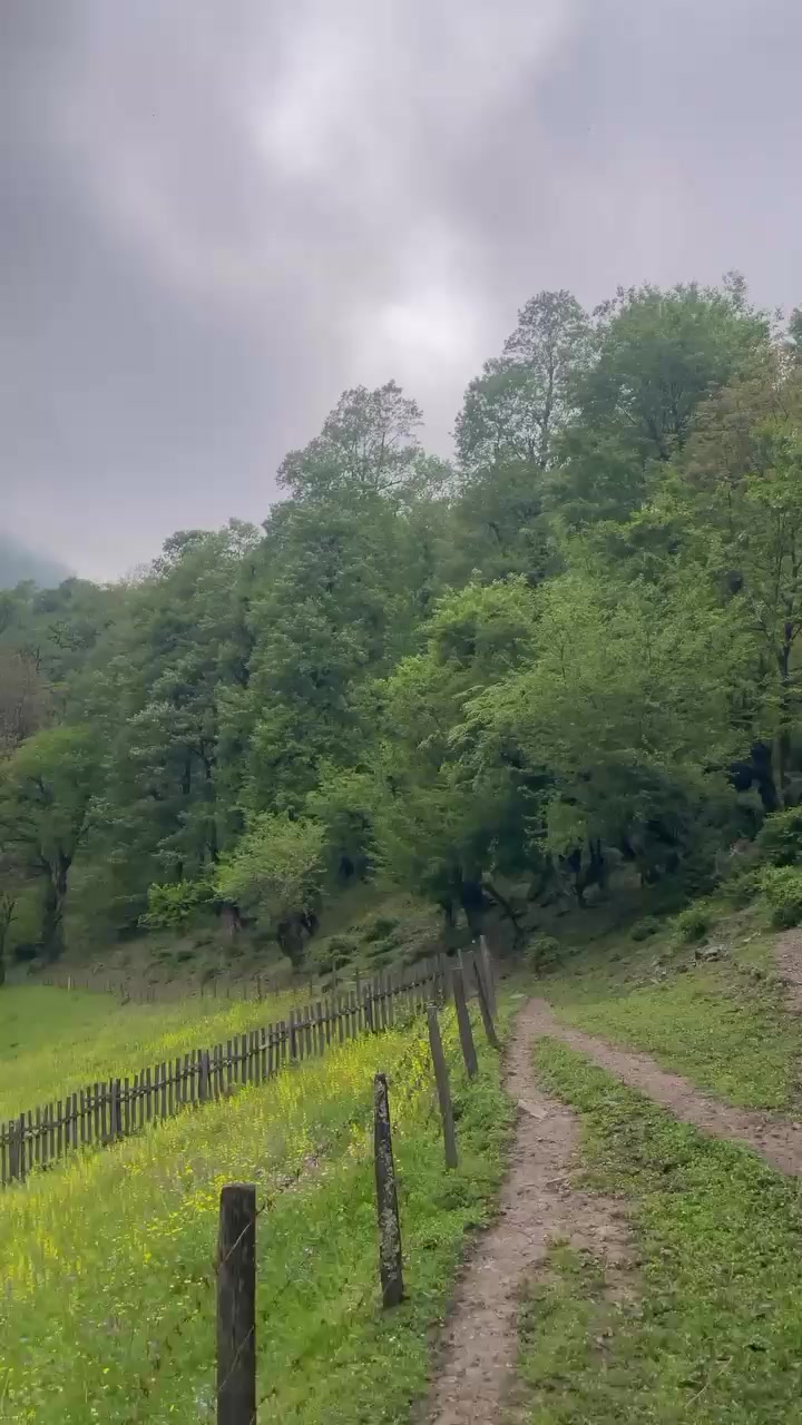 @❤️❤️son ürek❤️❤️
