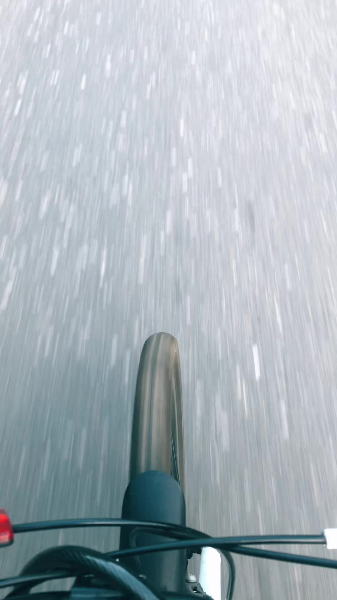 @тгк: лися кпсс