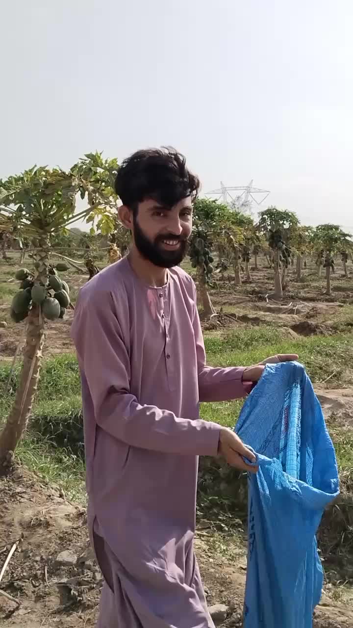 @Mirani Saif ALi