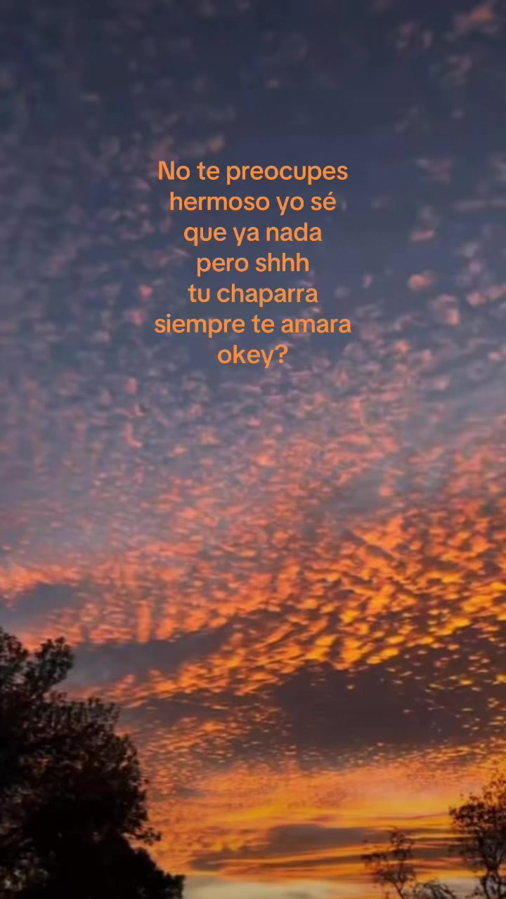 @kimmp