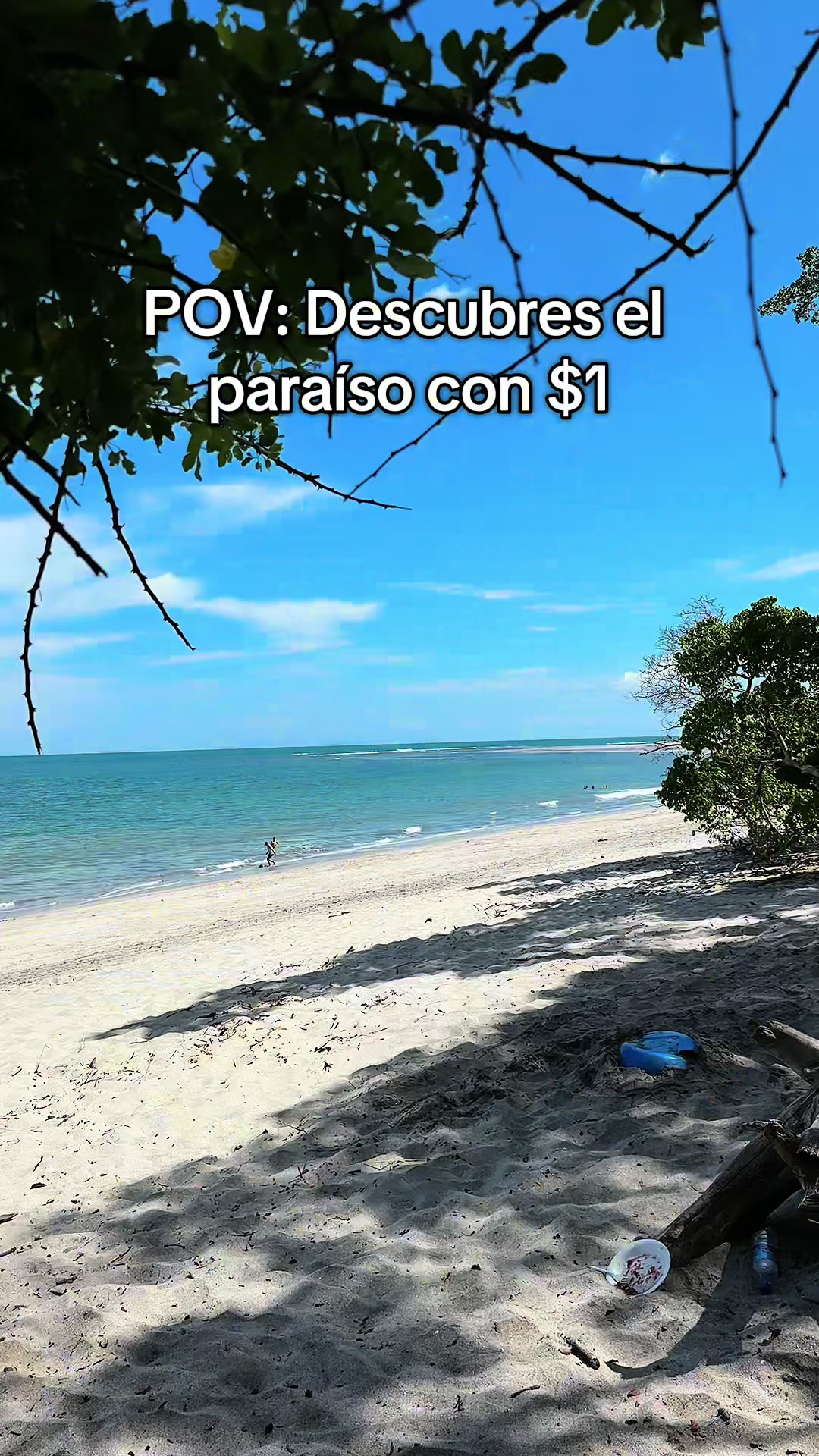 @Laliconsumelocal