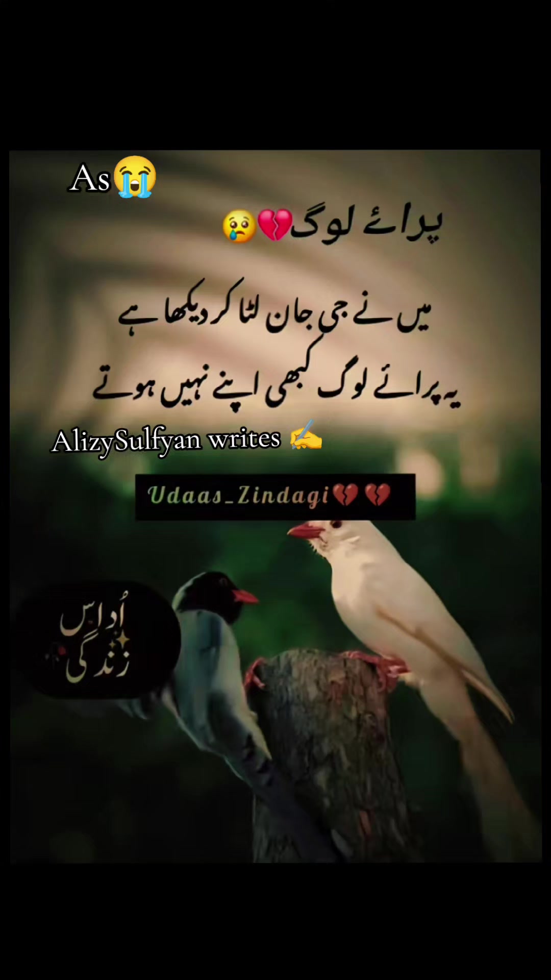 @Alizy&hearts;️Sulfyan