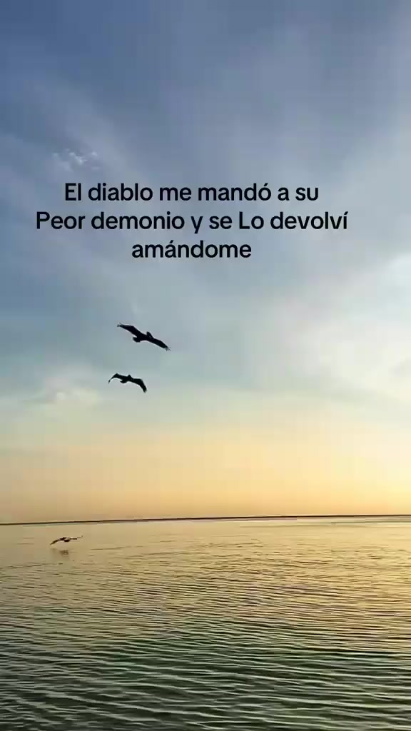 @chemoensusalsa